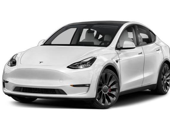 TESLA MODEL Y 2021 5YJYGDEE2MF262023 image